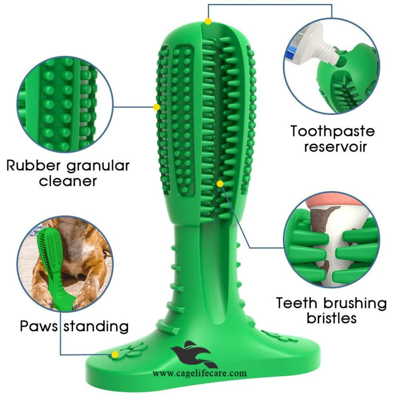 Dog Toothbrush with Teether 2-in-1 – High-Quality Imported Dental Care Toy
