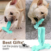 Dog Toothbrush with Teether 2-in-1 – High-Quality Imported Dental Care Toy