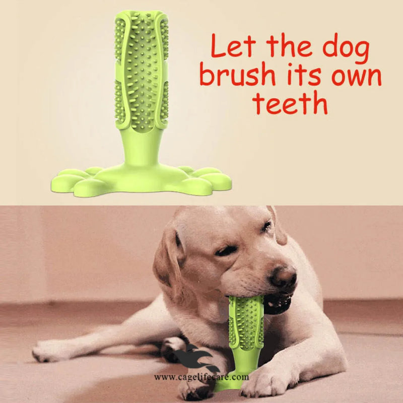 Dog Toothbrush with Teether 2-in-1 – High-Quality Imported Dental Care Toy