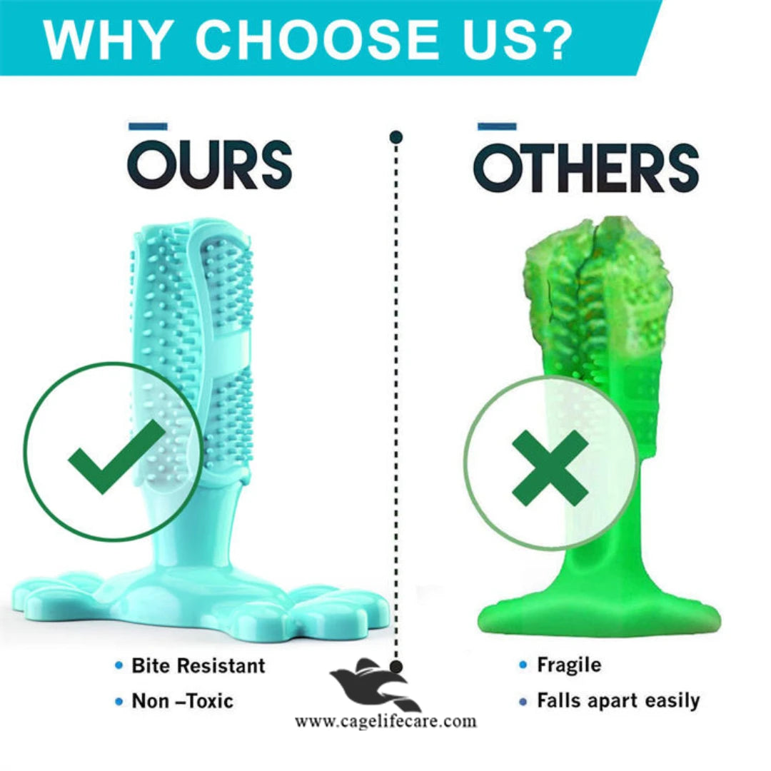 Dog toothbrush and teether for medium and large dogs
