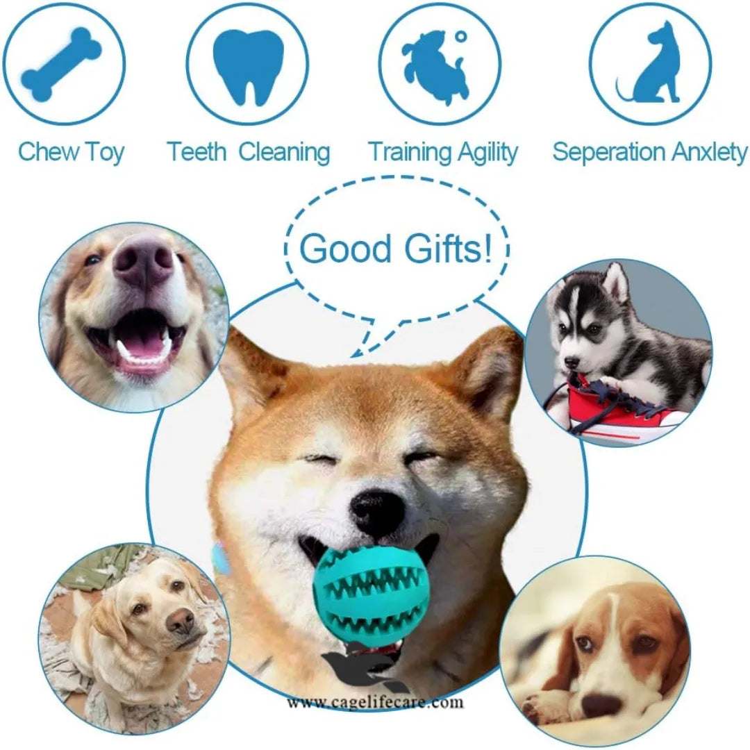 Interactive Chew and Treat Ball for Dogs