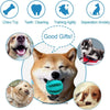 Dog Treat Rubber Ball – Interactive Chew & Treat Toy