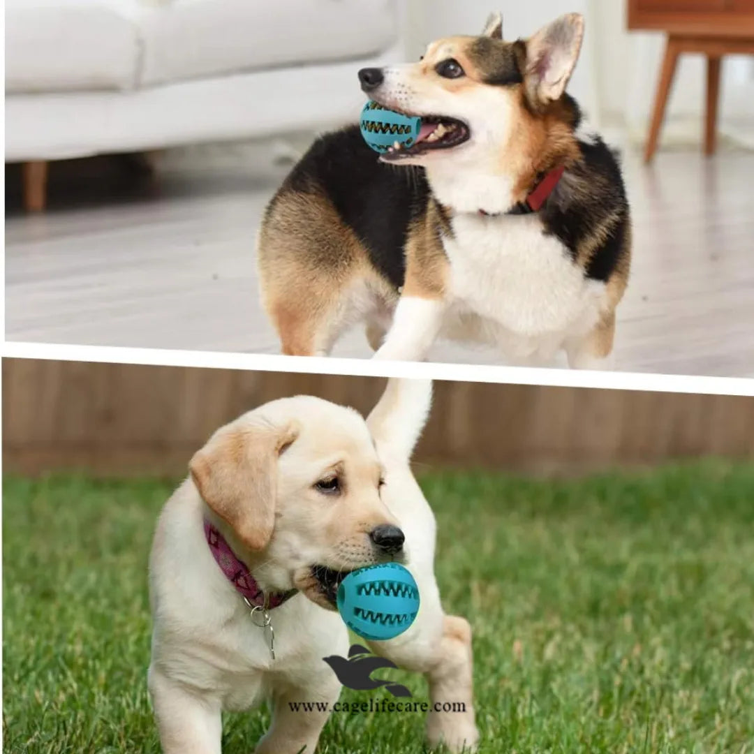 Durable Rubber Dog Ball Toy