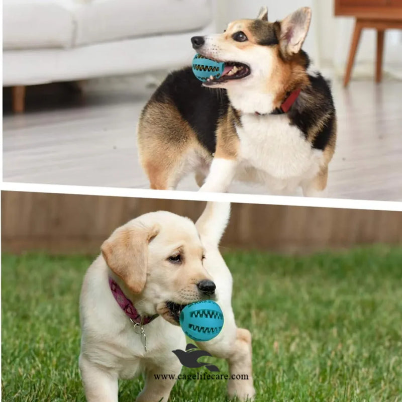 Dog Treat Rubber Ball – Interactive Chew & Treat Toy