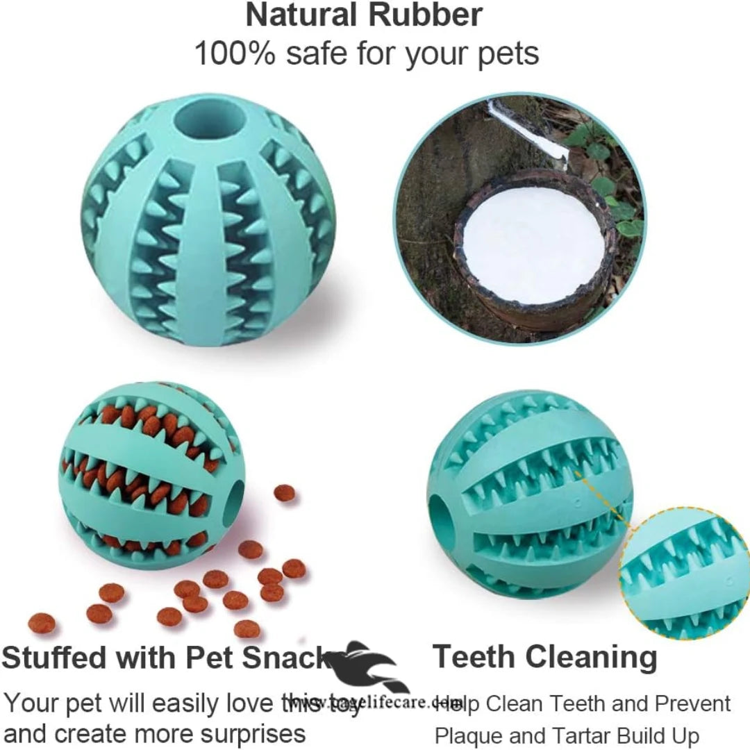 Safe Non-Toxic Rubber Dog Toy