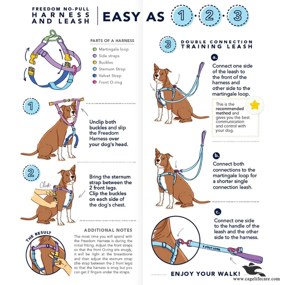 Dog Nylon Soft Body Harness & Leash Set – Comfortable