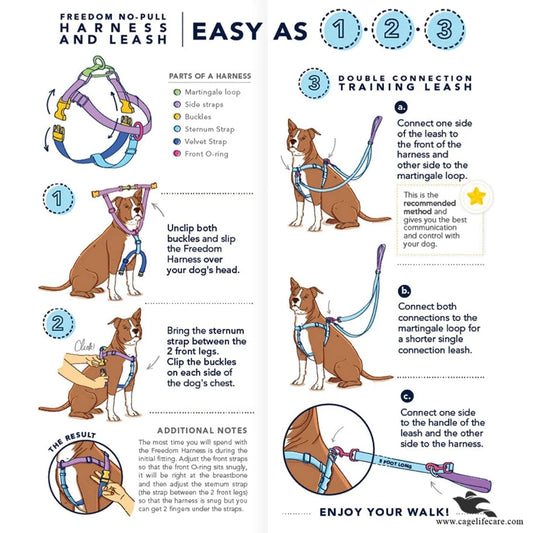 Dog Nylon Soft Body Harness & Leash Set – Comfortable