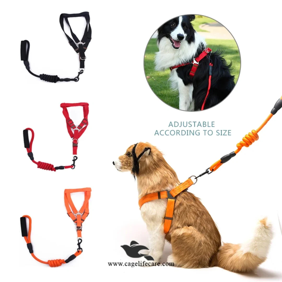 Dog Nylon Soft Body Harness & Leash Set – Comfortable
