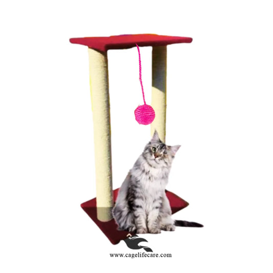 Double pole cat scratcher with play ball and wall sit 80cm height