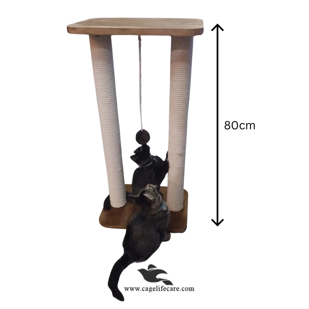 Cat scratching post with wall sit platform for indoor cats