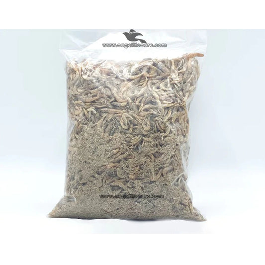 Dried Small Prawn (Jheenga) – High-Protein Natural Treat for Birds
