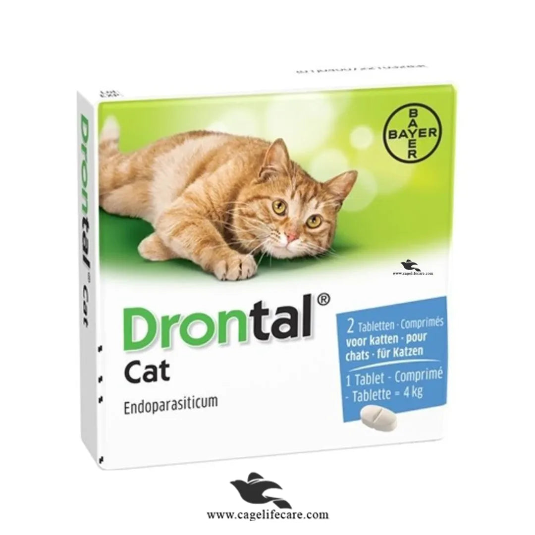 Drontal Tablet for Cats (Imported, 1 Tablet) – Broad Spectrum Wormer for Cats & Kittens