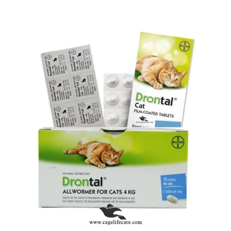 Drontal Tablet for Cats (Imported, 1 Tablet) – Broad Spectrum Wormer for Cats & Kittens