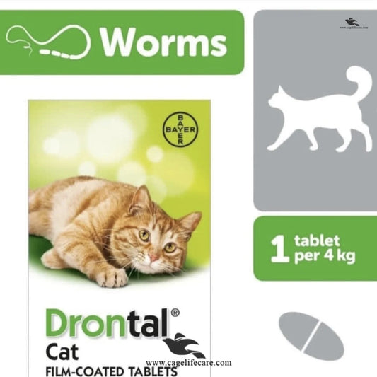 Drontal Tablet for Cats (Imported, 1 Tablet) – Broad Spectrum Wormer for Cats & Kittens