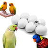 Dummy Eggs For Medium Parrots (Ringnecks, Lorries, Sun Conures)