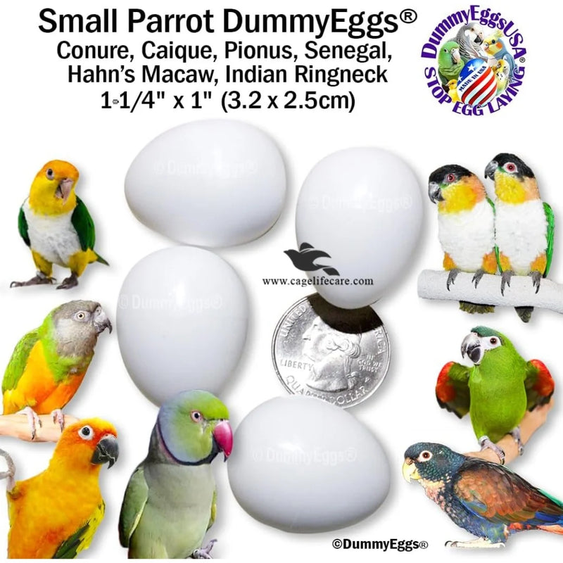 Dummy Eggs For Medium Parrots (Ringnecks, Lorries, Sun Conures)