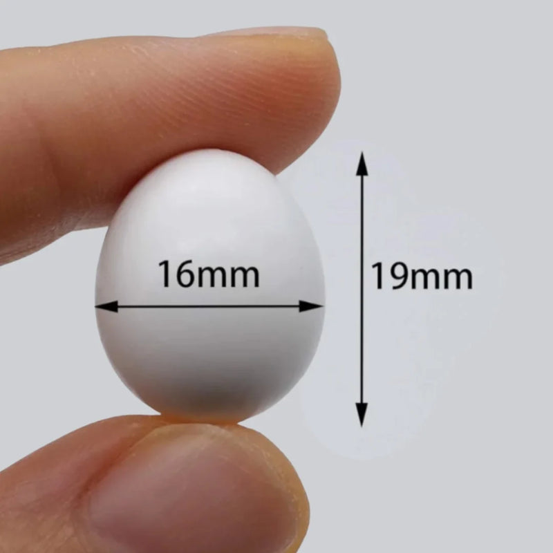 Dummy Eggs For Medium Parrots (Ringnecks, Lorries, Sun Conures)