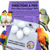 Dummy Eggs For Medium Parrots (Ringnecks, Lorries, Sun Conures)