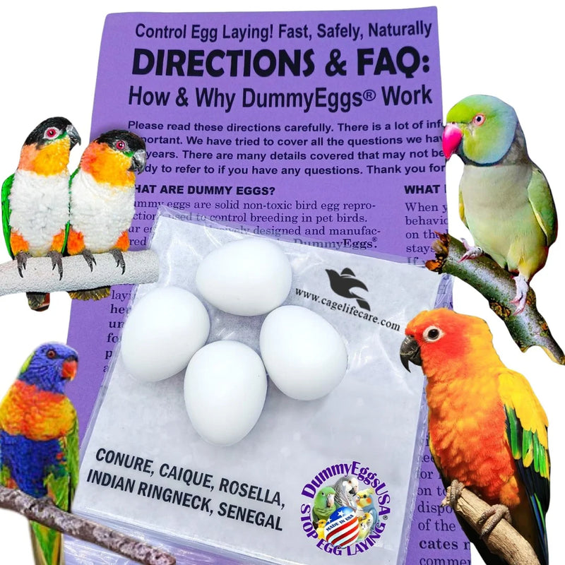 Dummy Eggs For Medium Parrots (Ringnecks, Lorries, Sun Conures)