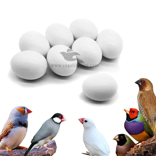 Dummy Eggs for Finches & Sparrows