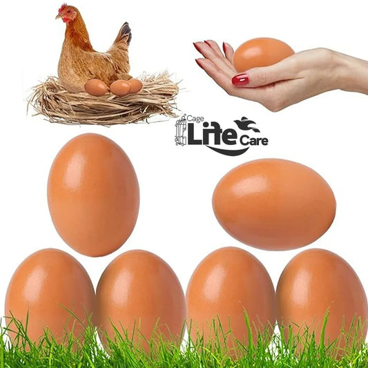 Dummy Eggs for Hens, Chickens & Ground Birds