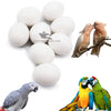 Dummy Eggs for Large Parrots – Nesting Aid