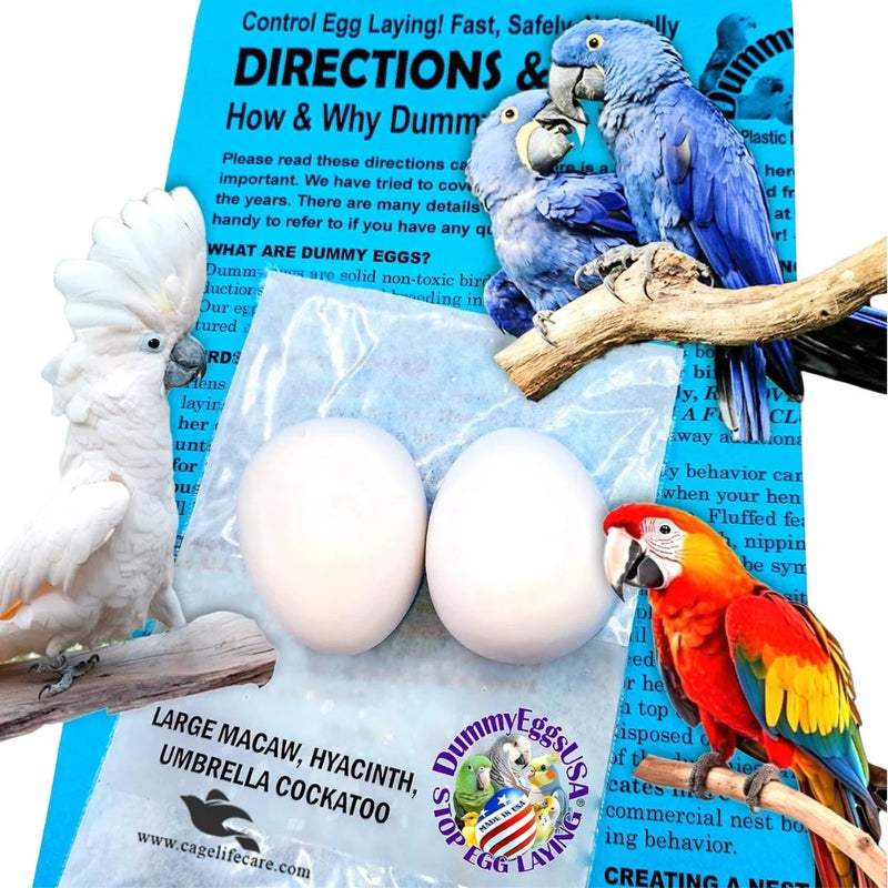 Dummy Eggs for Large Parrots – Nesting Aid