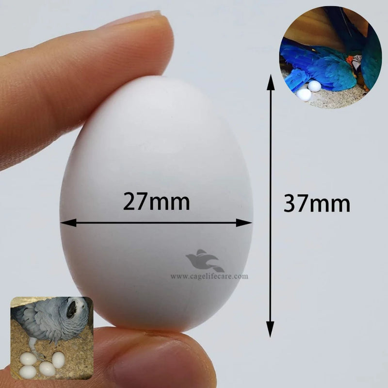 Dummy Eggs for Large Parrots – Nesting Aid
