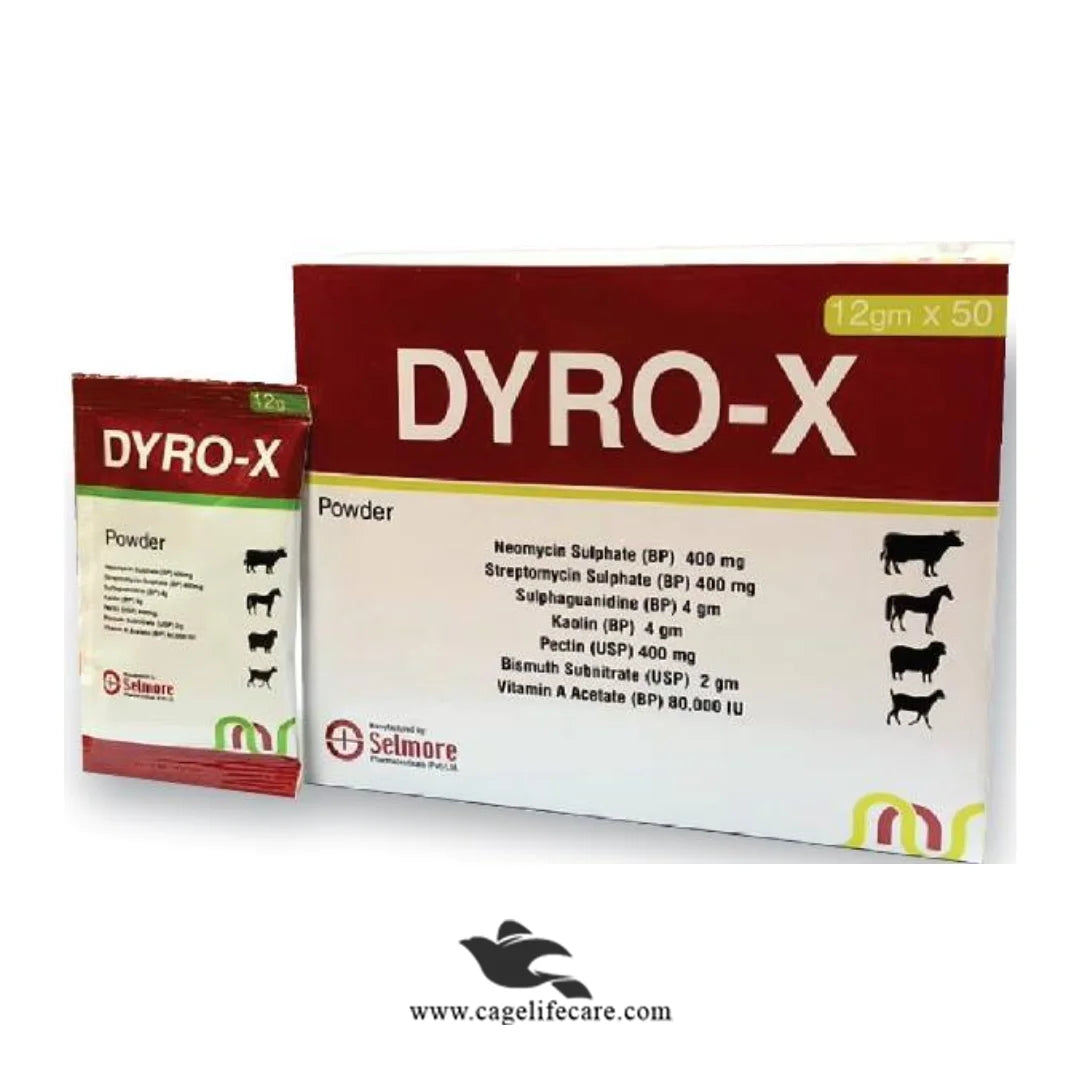 Antidiarrheal and digestive powder for cattle, goat, horses, sheep