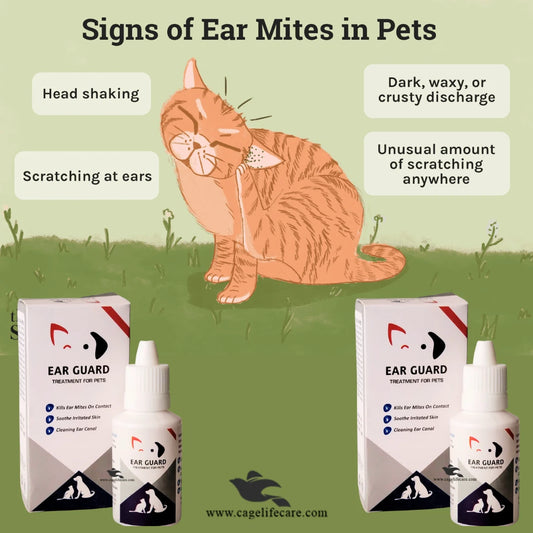 Ear Guard Drops for Pets – Effective Ear Mite Treatment for Dogs & Cats