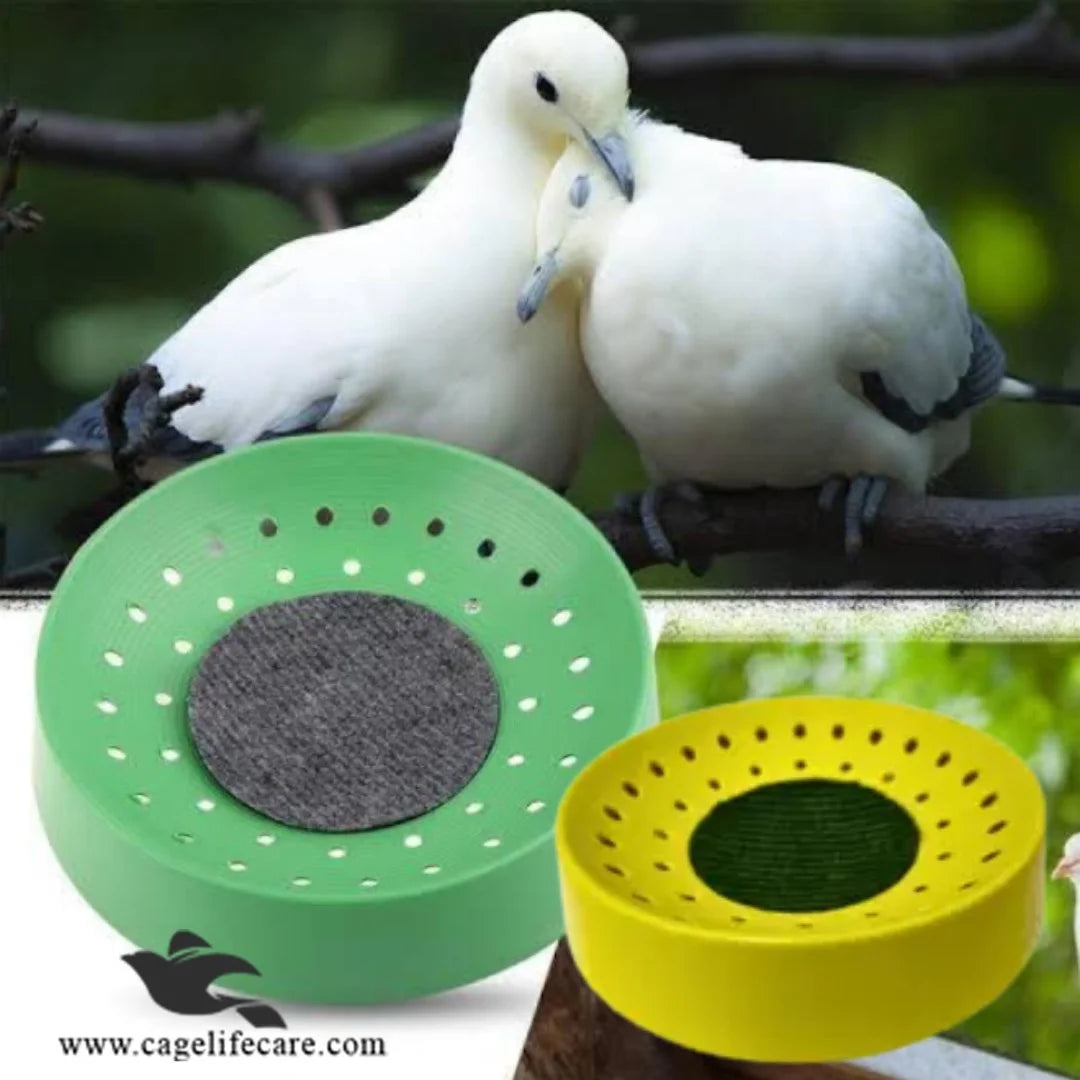 Economical Nest Bowl for Pigeons & Doves 8.5inch Best For Pairs