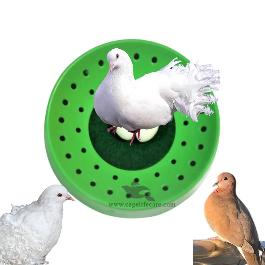 Economical Nest Bowl for Pigeons & Doves 8.5inch Piegon on incubation