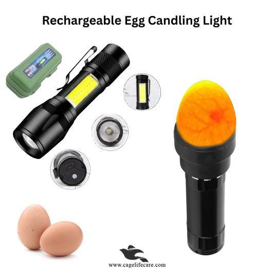 Egg Candling Rechargeable Torch Light – Super LED Flashlight
