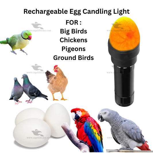 Egg Candling Rechargeable Torch Light – Super LED Flashlight