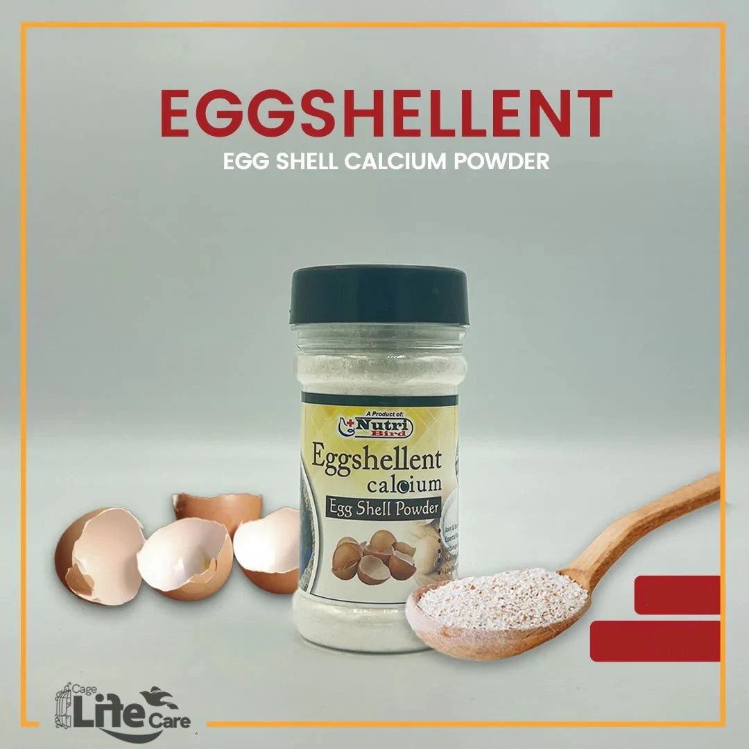 Egg Shell Powder for Birds - Natural Calcium Supplement for Strong Bones & Healthy Growth