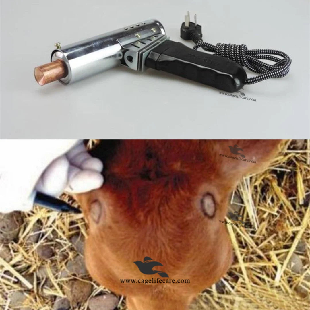 electric dehorner gun 220v imported cattle dehorning tool