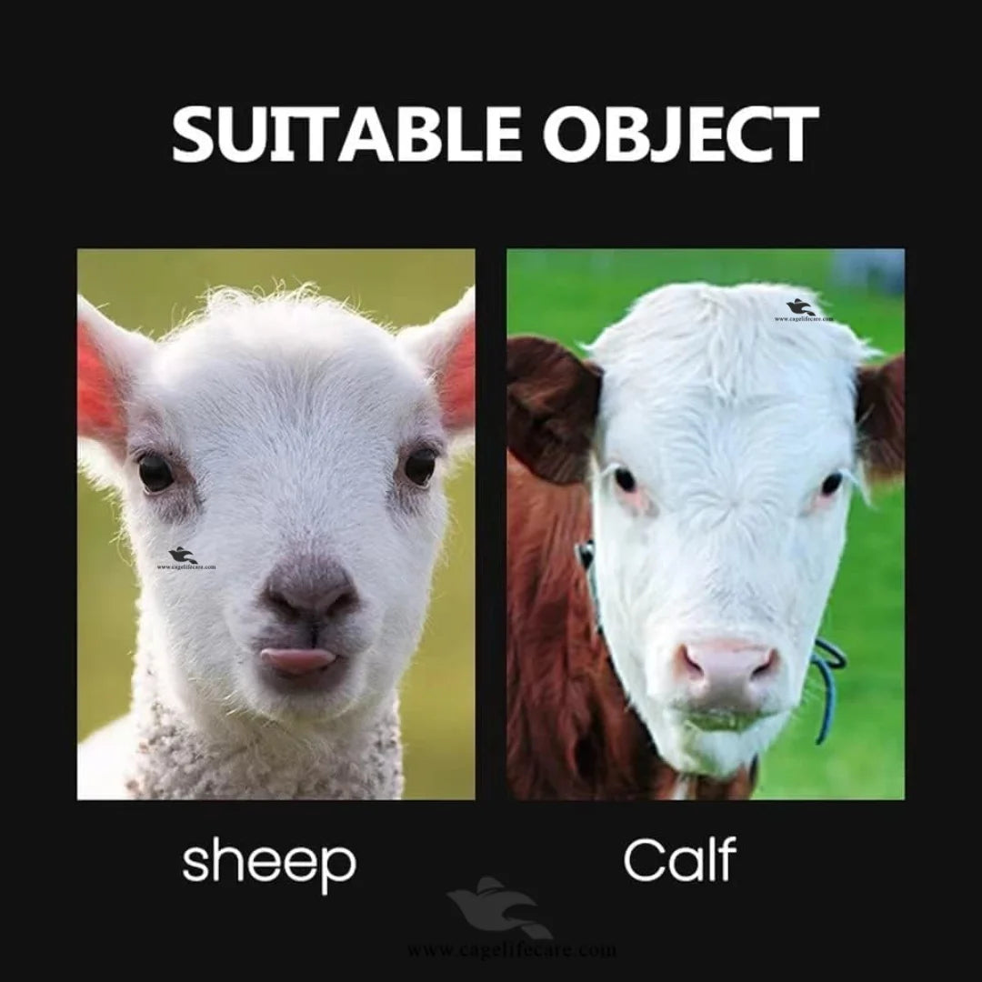 Professional Electric Dehorner for Goats and Cattle