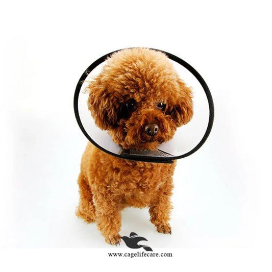 Elizabethan Collar (E-Collar) for Pets – Protective & Comfortable