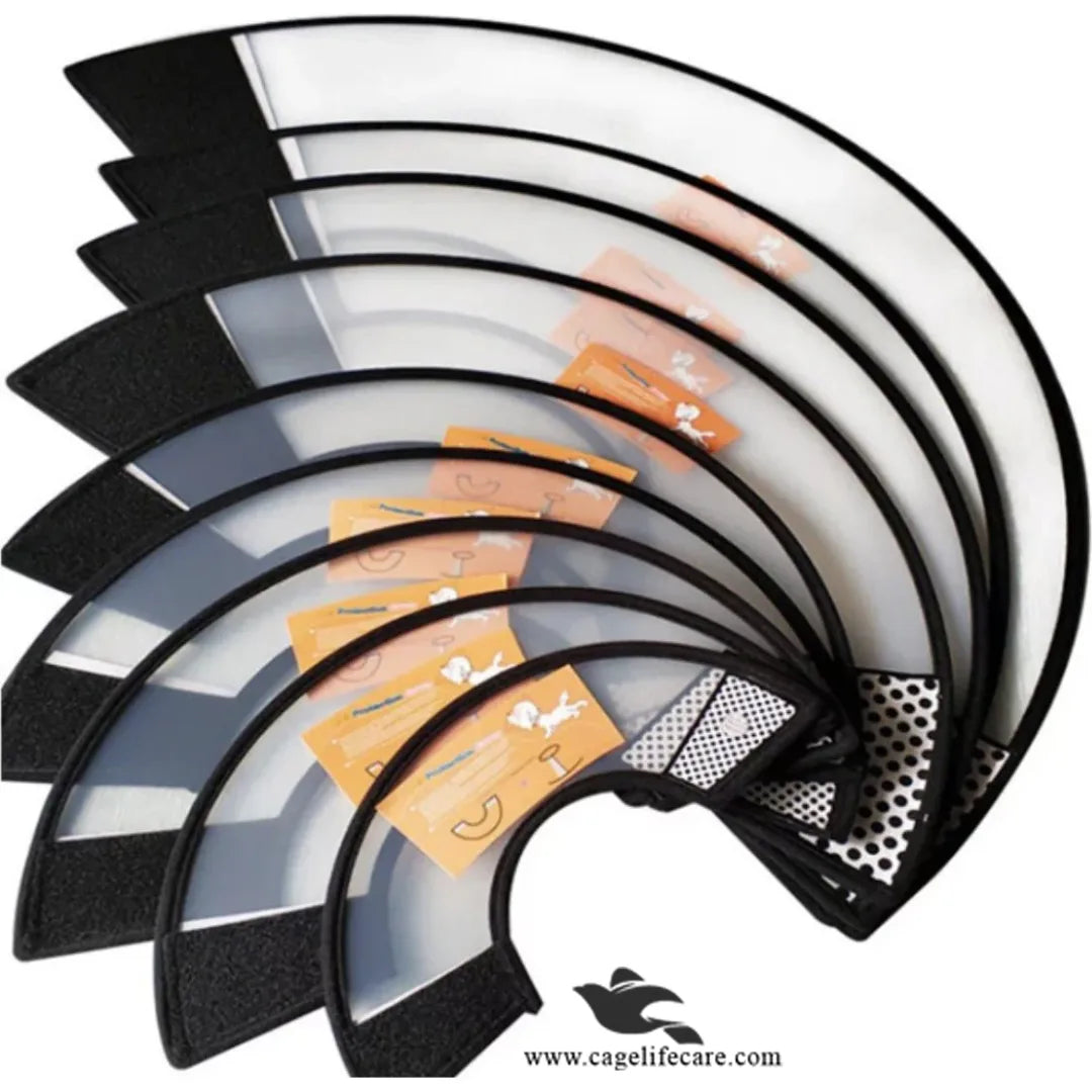Elizabethan Collar (E-Collar) for Pets – Protective & Comfortable