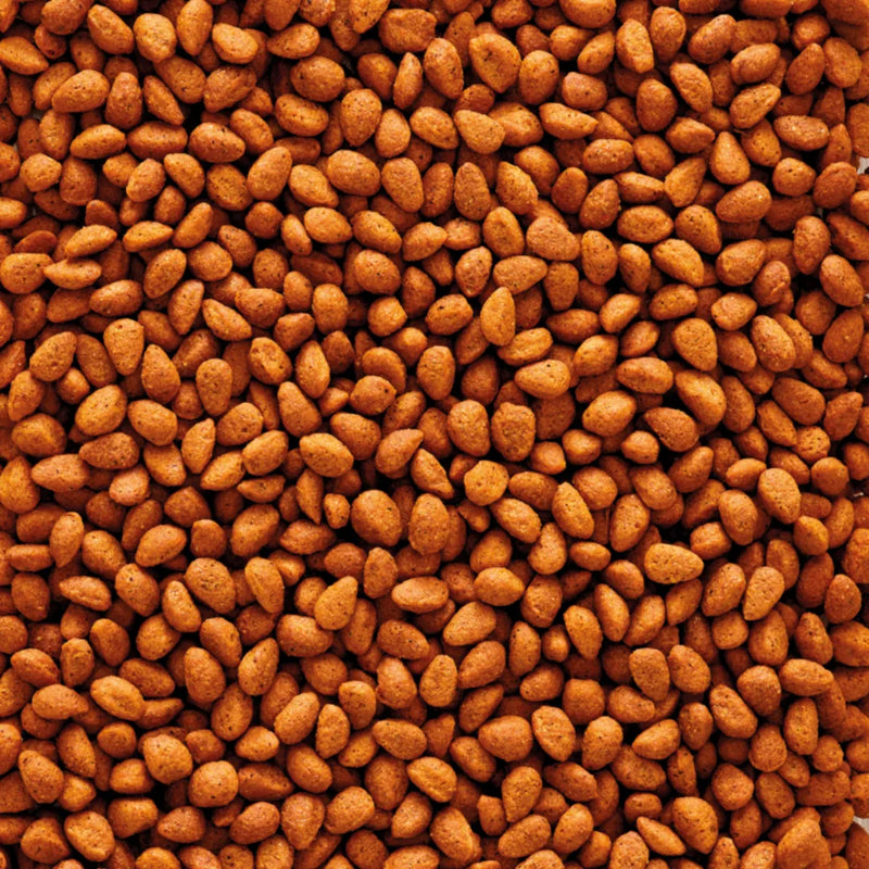 Extruded Pellets G-18 Breeding Food for Big Parakeets