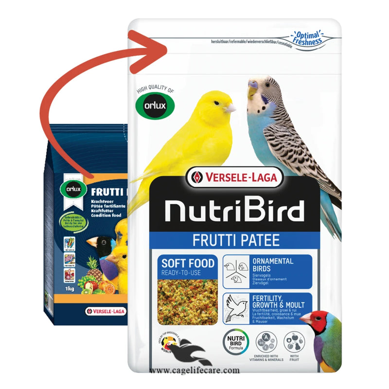 FRUTTI PATEE – Egg Food Enriched with Fruit (Orlux)