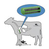 Farmer’s Cow Magnet Feeding Gun – Veterinary Metal Balling Gun for Livestock
