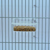 Feeding Pot with Grid – Premium Transparent Feeder for Small Birds