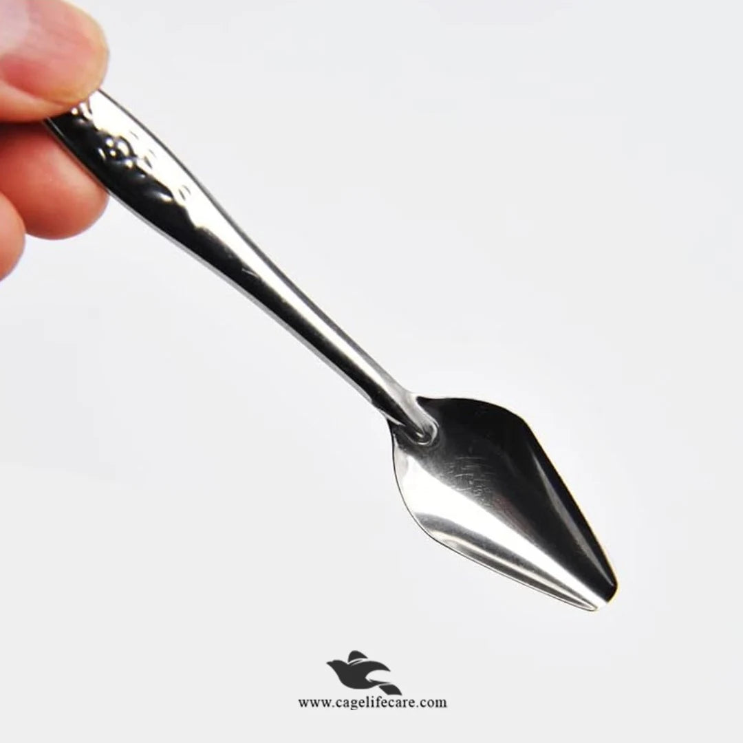 Feeding Spoon – Stainless Steel Hand Feeding Tool for Birds