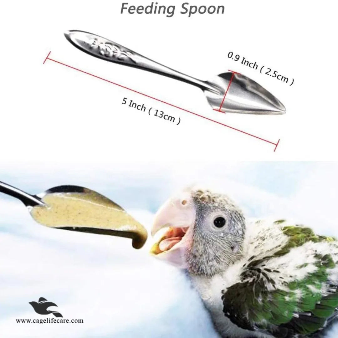 Feeding Spoon – Stainless Steel Hand Feeding Tool for Birds - Size Diemension