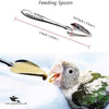 Feeding Spoon – Stainless Steel Hand Feeding Tool for Birds