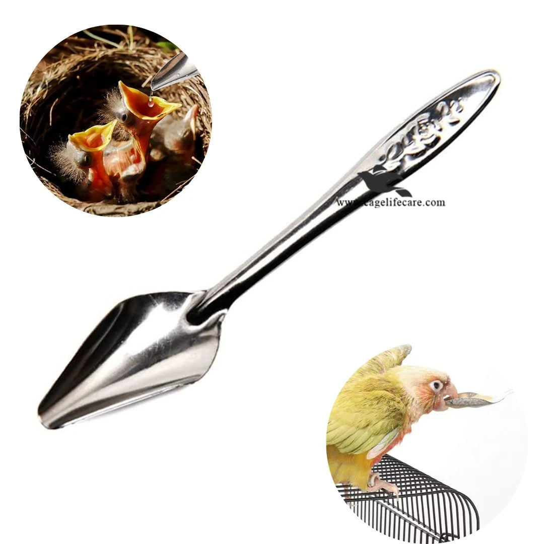 Feeding Spoon – Stainless Steel Hand Feeding Tool for Birds