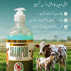 Field Fresh Anti Lice Livestock Shampoo — Premium Grooming Shampoo for Cattle, Goats, Buffalo and Farm Animals