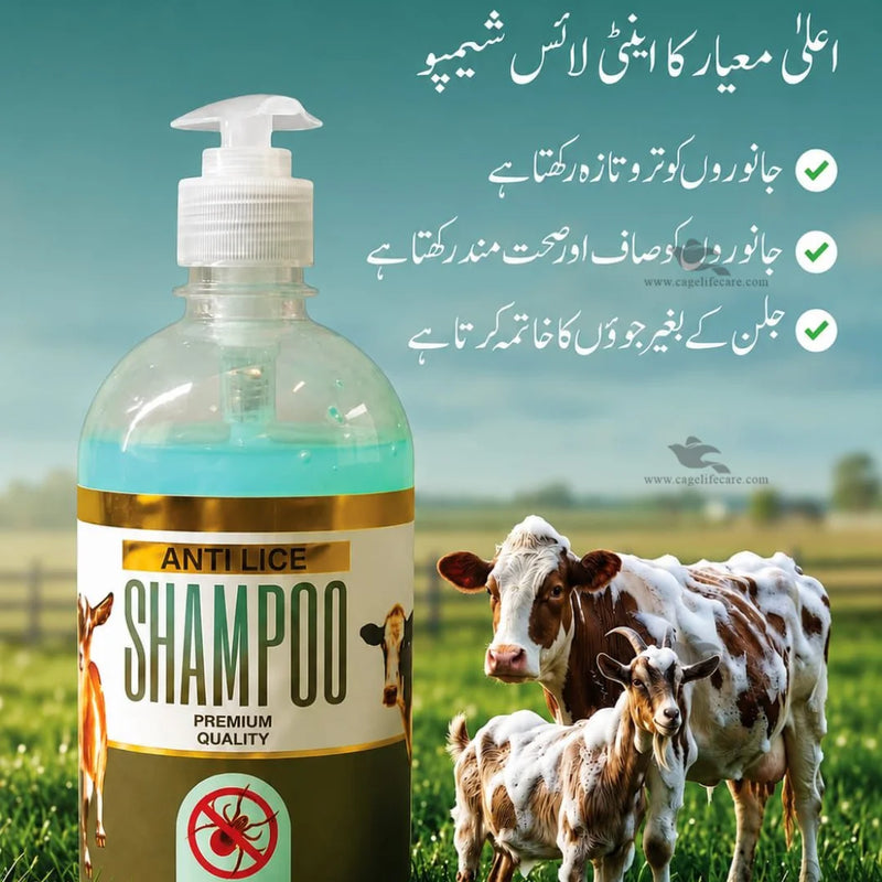 Field Fresh Anti Lice Livestock Shampoo — Premium Grooming Shampoo for Cattle, Goats, Buffalo and Farm Animals