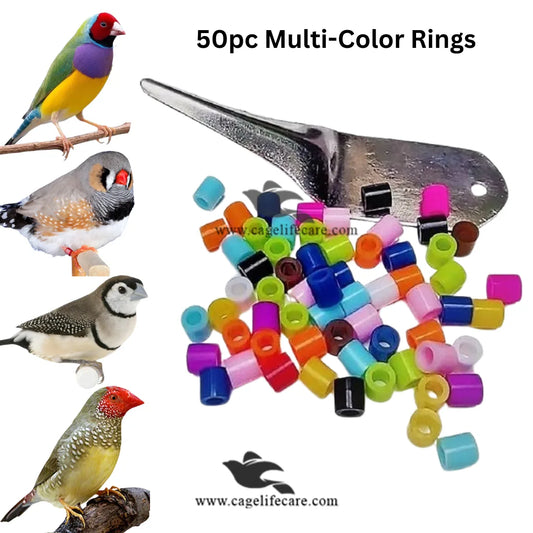 Finches Plastic Rings – 50pcs Multi-Color Identification Bands